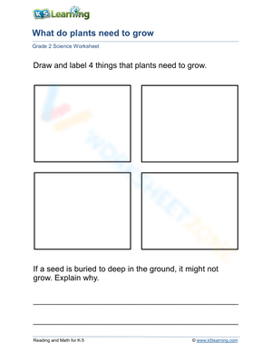 Plant Growth Essentials Drawing and Labeling Activity