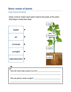 Printable Basic Needs of Plants Worksheet | Grade 3 Science
