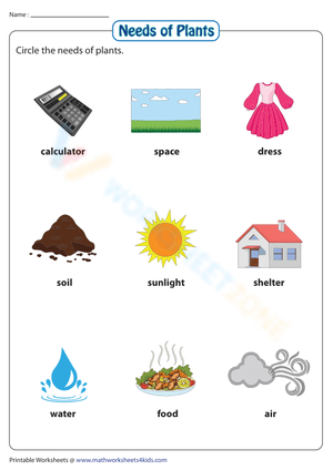 Plant Needs Worksheet for Young Learners