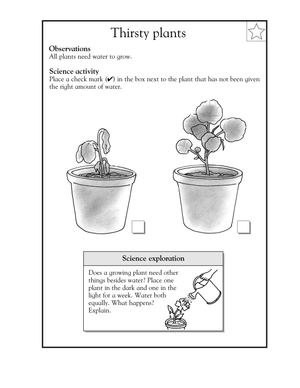 Grade 1 Plant Needs — Printable No-Prep Worksheet