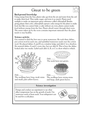 Great to be Green: Essential Grade 3 Plant Growth Worksheet