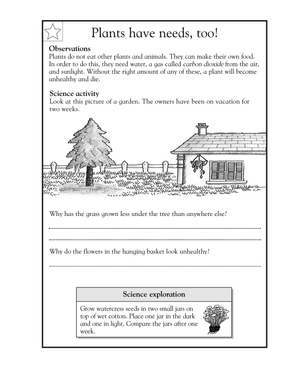 Plants Have Needs Worksheet | Grade 1 Essential Science