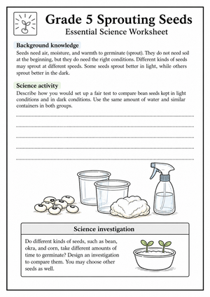 Grade 5 Seed Germination — Printable No-Prep Worksheet