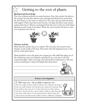 Essential Grade 5 Plant Roots Science Worksheet | Ready