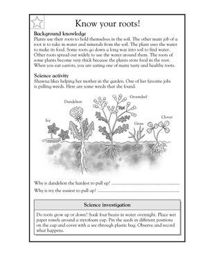 Grade 3-4 Plant Roots — Printable No-Prep Science Worksheet