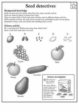 Essential Seed Detectives Worksheet | Grade 3 Science