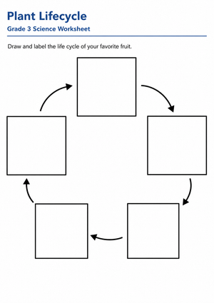 Grade 3 Plant Lifecycle — Printable No-Prep Worksheet