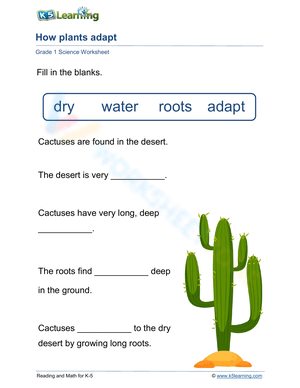 How plants adapt: cacti