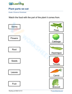Eating plants: from roots to flowers