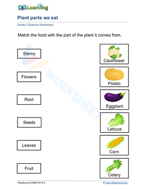 Plants and Food