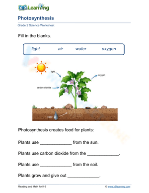 Photosynthesis