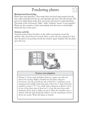 Essential Grade 5 Plant Growth & Photosynthesis Worksheet