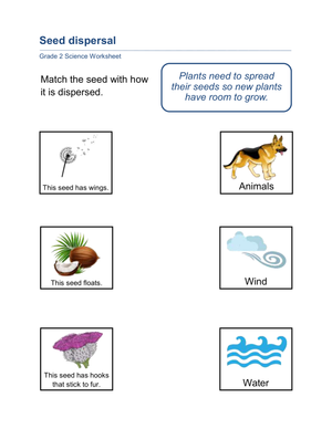 Essential Seed Dispersal Worksheet | Grade 2 Science