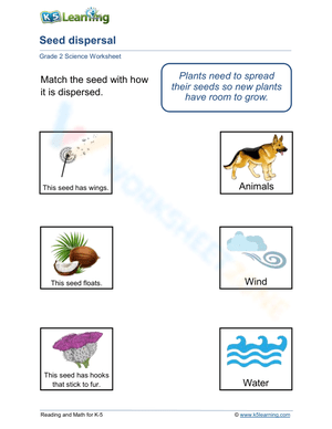 Seed Dispersal