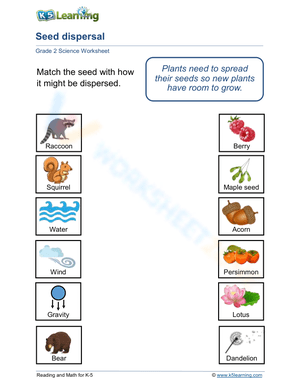 How seeds get spread