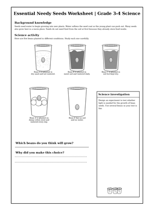 Essential Needy Seeds Worksheet | Grade 3-4 Science