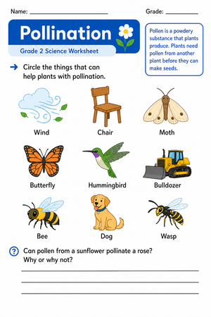 Pollination Worksheet | Grade 2 Living Things Essential