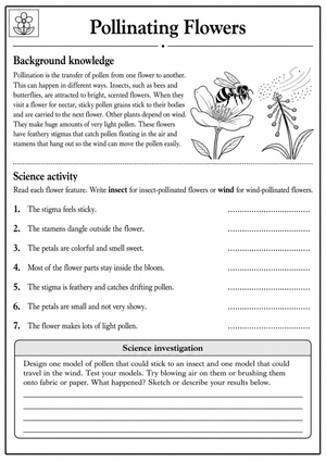 Grade 5 Flower Pollination — Printable No-Prep Worksheet