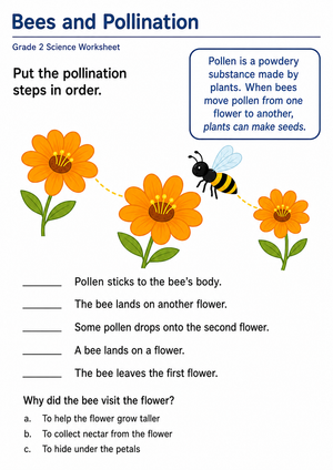 Bees and Pollination Worksheet | Essential Grade 2 Science