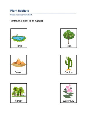 Plant Habitats Worksheet | Essential Grade 2 Science