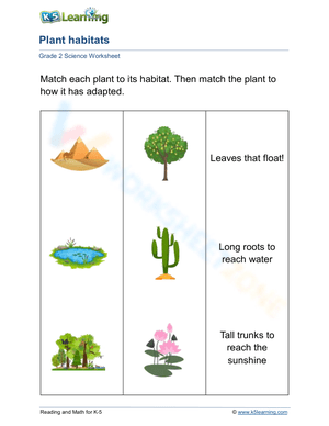 Plants, habitats and adaptations