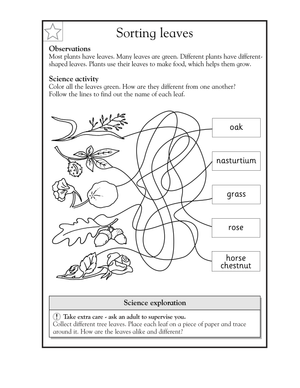 Printable Sorting Leaves Worksheet for Grade 1-2 Science