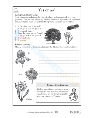Distinguishing between flowers