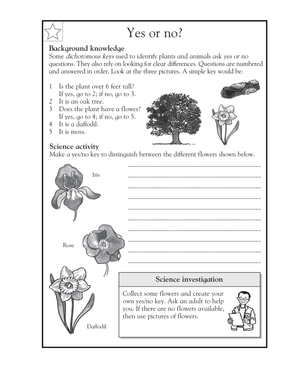 Printable Dichotomous Key Worksheet | Grade 5 Science