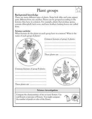 Grade 3-4 Plant Groups — Essential No-Prep Worksheet
