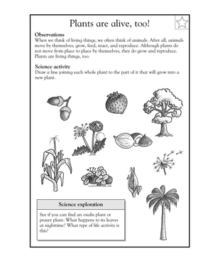 Essential Plants Are Alive Worksheet | Grade 1-2 Science