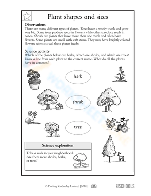 Plant shapes and sizes