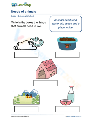 The 5 needs of animals