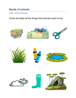 Grade 1 Animal Needs — Printable No-Prep Worksheet
