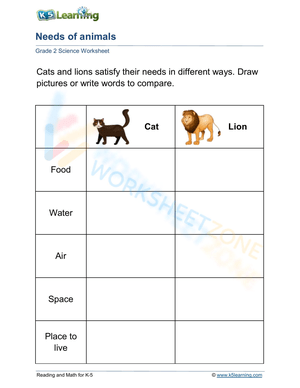Needs of animals: cats vs. lions