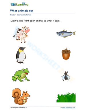 Animals and their foods