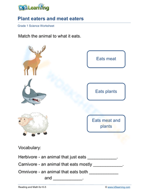 Plant Eaters & Meat Eaters 2