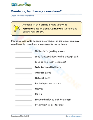 Carnivore, Herbivore or Omnivore?