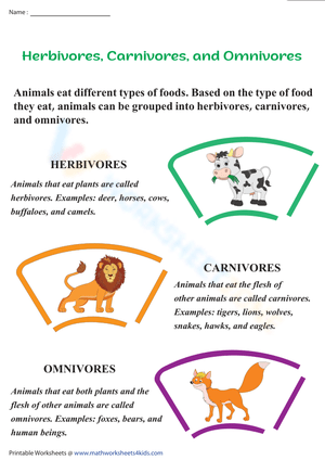 Carnivore, Herbivore and Omnivore| Definitions
