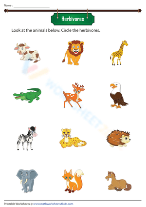 Identifying Herbivores