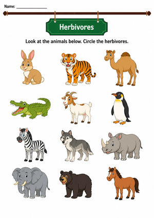 Grade 2-4 Identifying Herbivores — Printable Worksheet