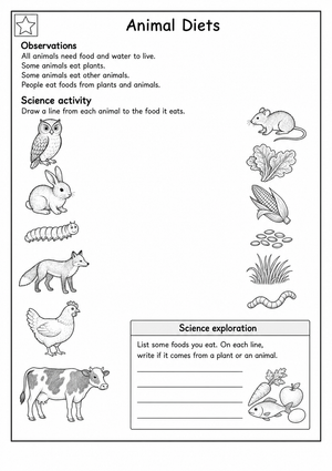 Essential Grade 1 Animal Diets Printable Worksheet