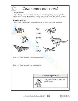 Essential Grade 1 Science: Animal Movement Worksheet