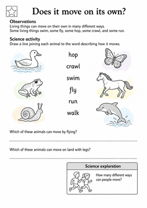Printable Grade 1 Animal Movement Science Worksheet