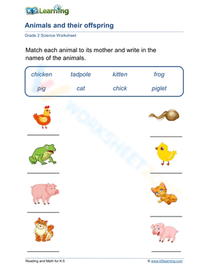 Animal babies aren't called babies