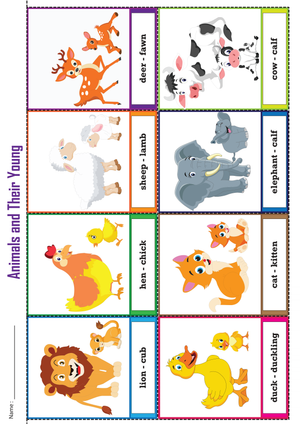 Printable Animals and Their Young Flashcards | Grade K-1