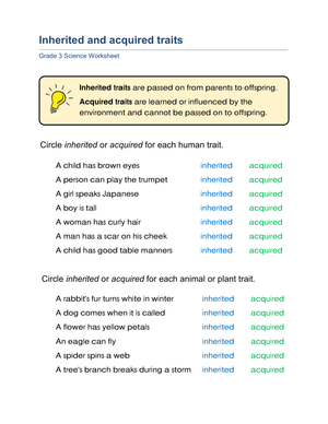 Printable Grade 3 Inherited vs. Acquired Traits Worksheet