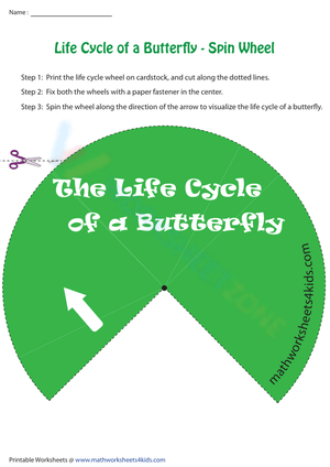 Life Cycle of a Butterfly | Spin Wheel
