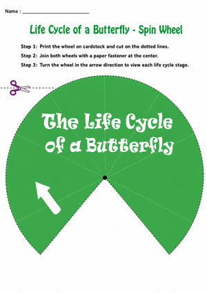 Printable Butterfly Life Cycle Spin Wheel | Grade 3-5