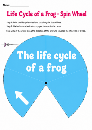 Grade 3 Frog Life Cycle — Printable No-Prep Worksheet