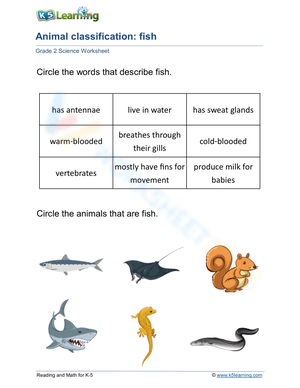 Animal classification: fish
